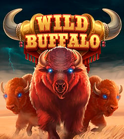 wild-buffalo