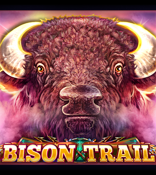 Bison Trail